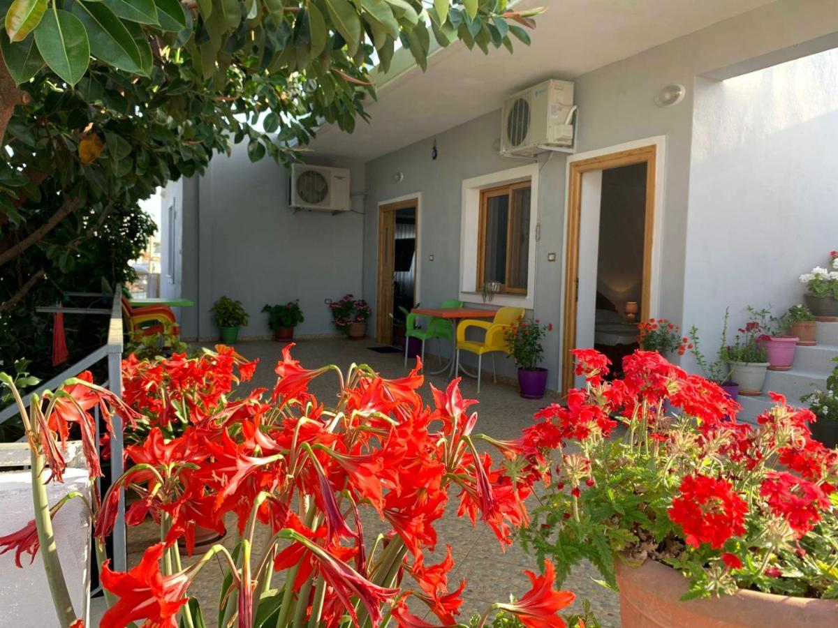 Albi'S Guesthouse Ксамил Экстерьер фото