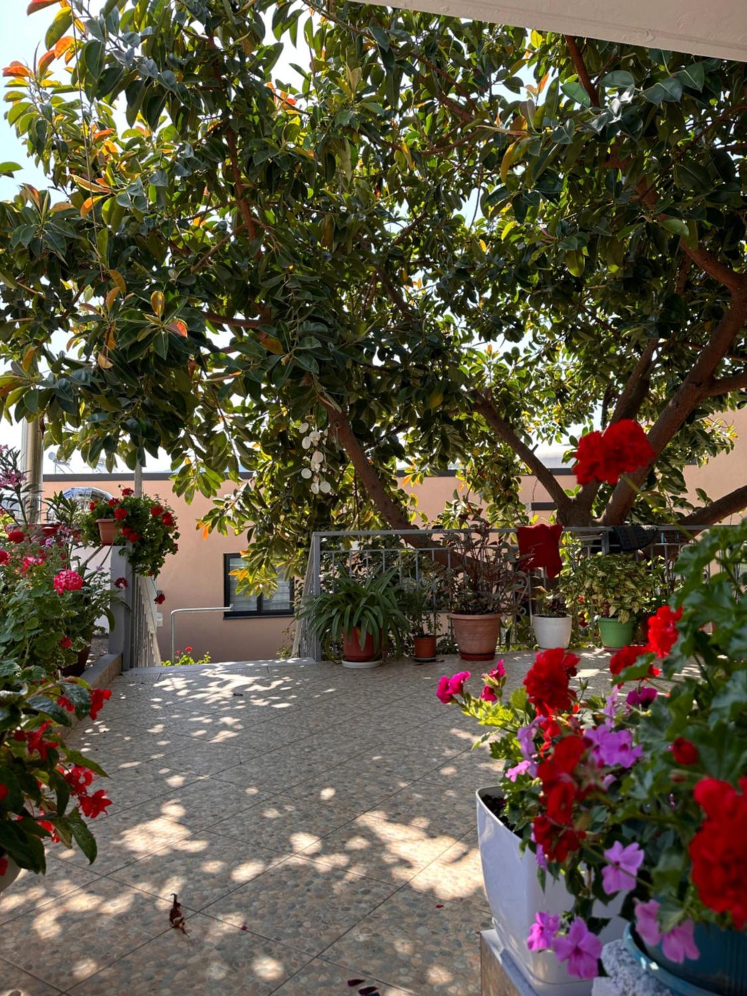 Albi'S Guesthouse Ксамил Экстерьер фото