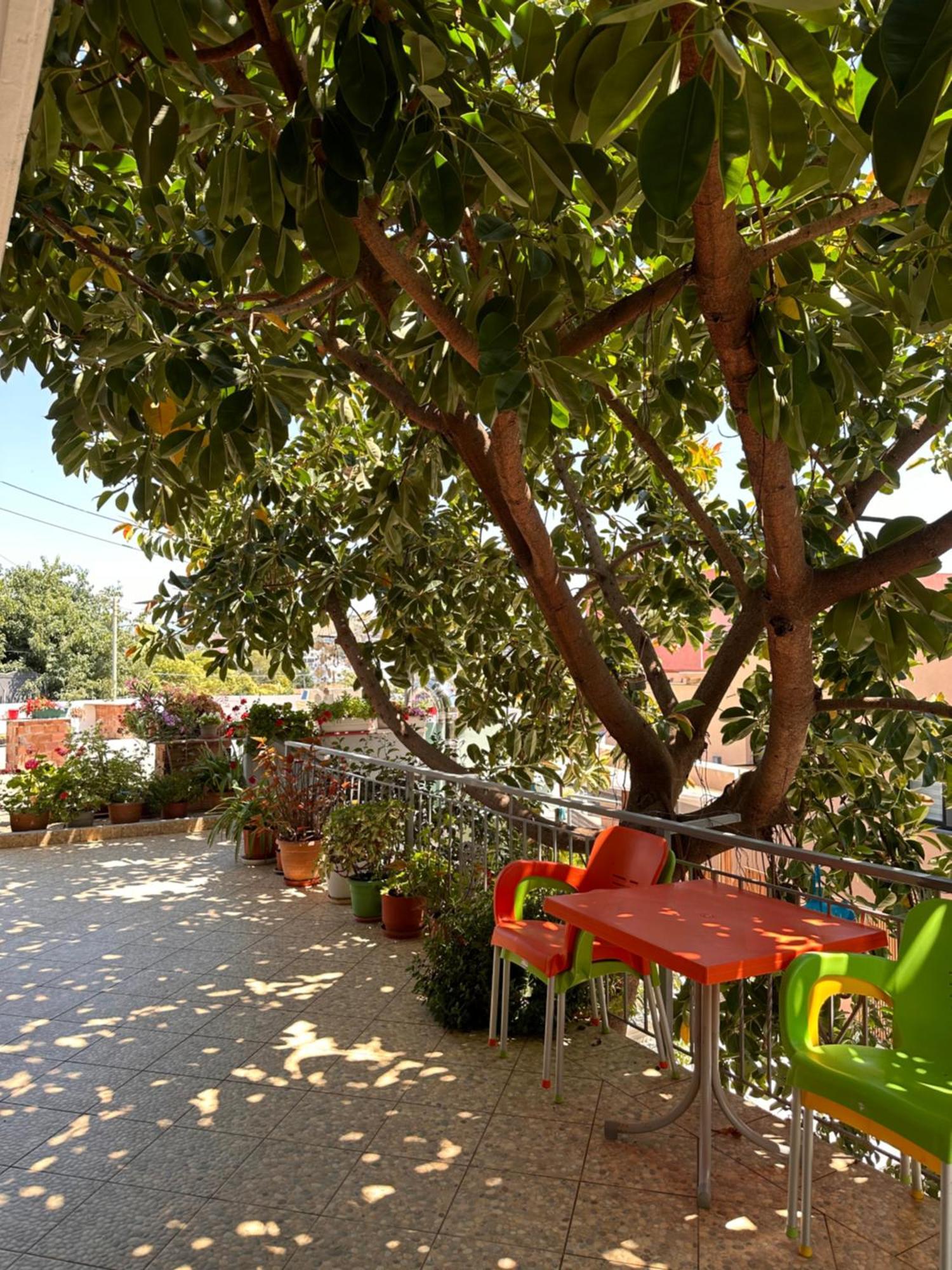 Albi'S Guesthouse Ксамил Экстерьер фото
