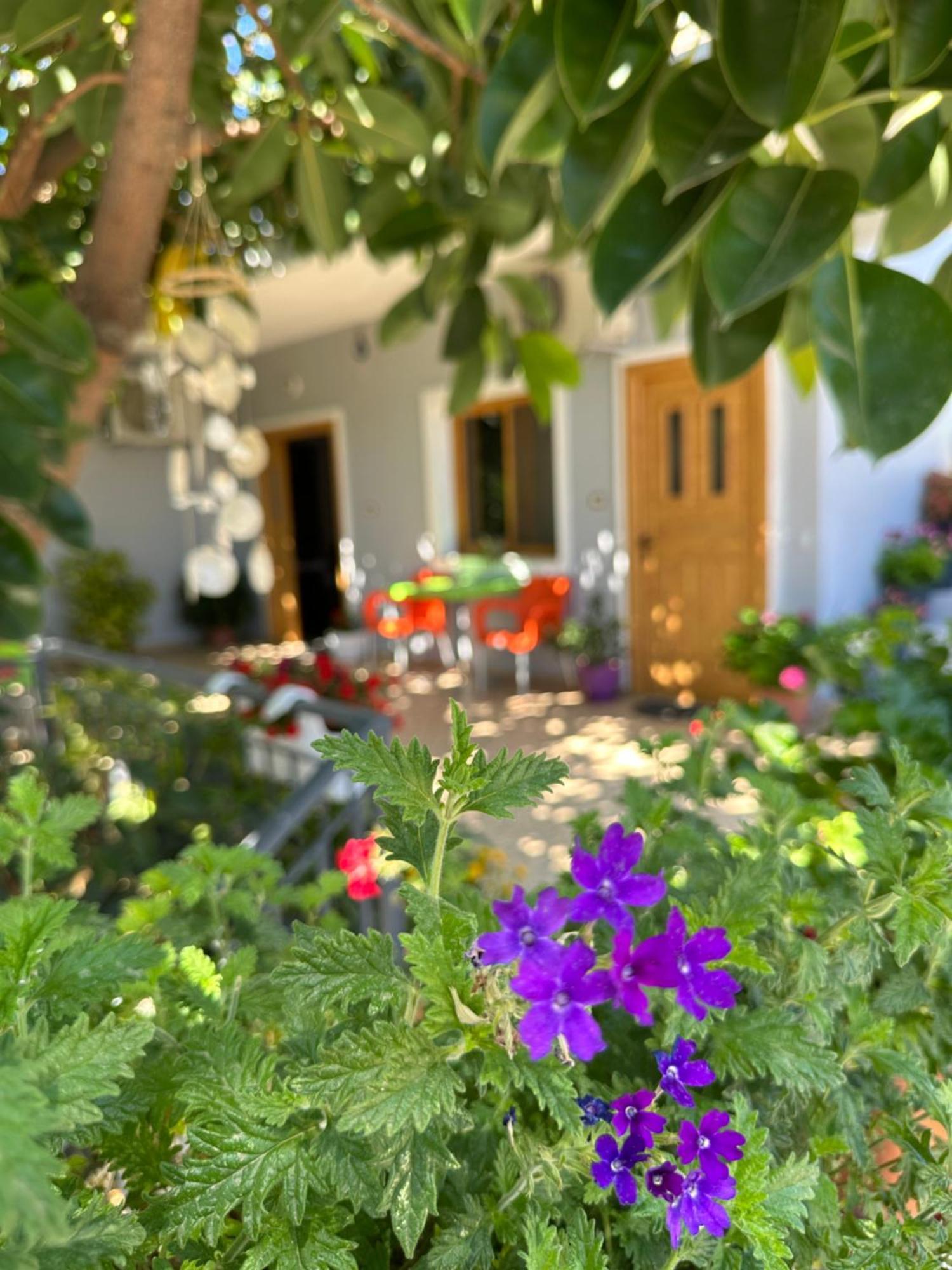 Albi'S Guesthouse Ксамил Экстерьер фото