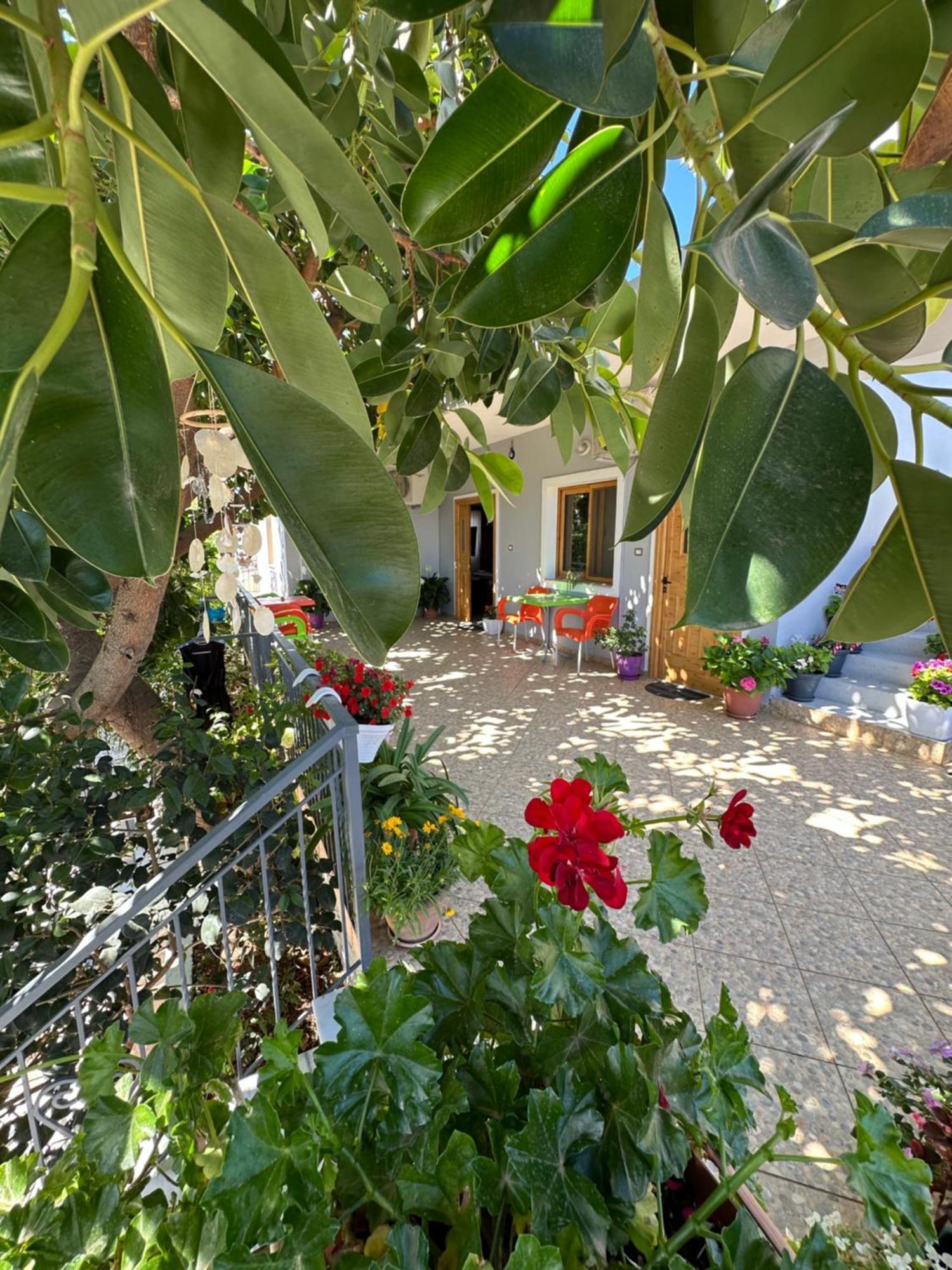 Albi'S Guesthouse Ксамил Экстерьер фото